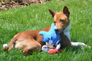 Wilson in the Sun photo by: Jamie Masser