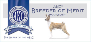 AKC Breeder of Merit
