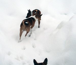 Snow