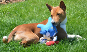 Wilson photo by: Jami Masser